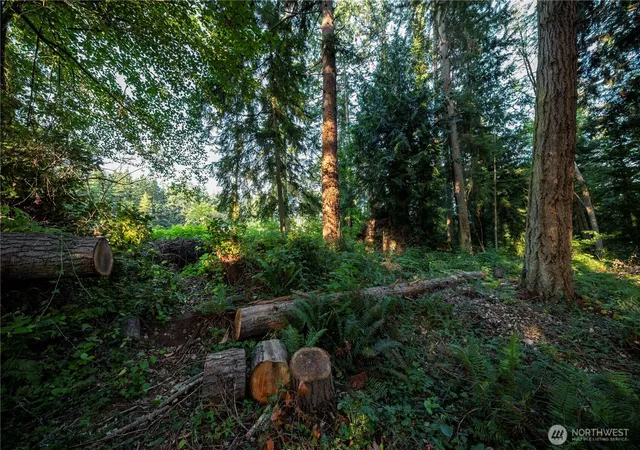 Photo 3 of Land for sale at 0 Ships Havens Dr, Freeland, WA 98249 | MLS# NWM2526287 | Listing updated on 2026-09-21