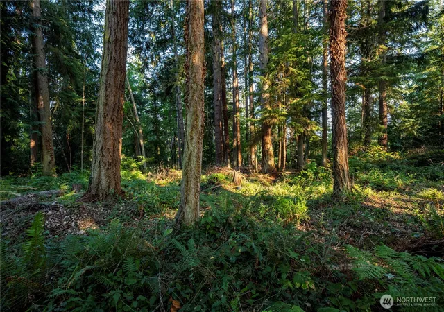 Photo 3 of Land for sale at 0 Ships Havens Dr, Freeland, WA 98249 | MLS# NWM2526287 | Listing updated on 2026-09-21
