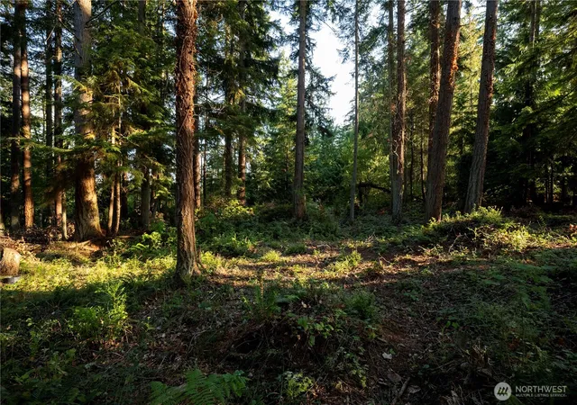 Photo 4 of Land for sale at 0 Ships Havens Dr, Freeland, WA 98249 | MLS# NWM2526287 | Listing updated on 2026-09-21
