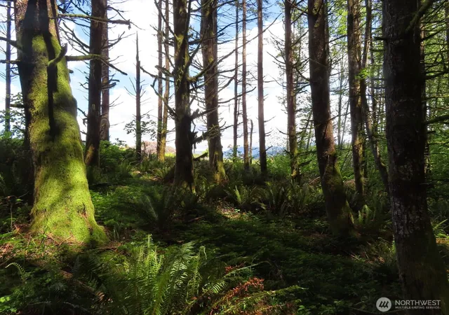 Photo 1 of Land for sale at 0 Xxx Hockett Rd, Onalaska, WA 98570 | MLS# NWM2526362 | Listing updated on 2026-09-21