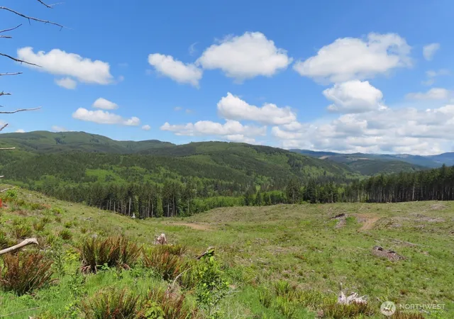 Photo 2 of Land for sale at 0 Xxx Hockett Rd, Onalaska, WA 98570 | MLS# NWM2526362 | Listing updated on 2026-09-21