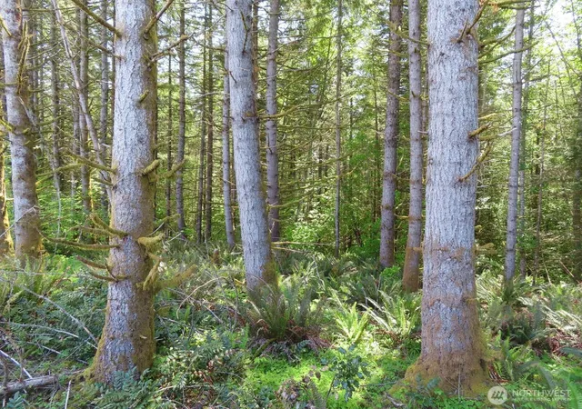 Photo 3 of Land for sale at 0 Xxx Hockett Rd, Onalaska, WA 98570 | MLS# NWM2526362 | Listing updated on 2026-09-21