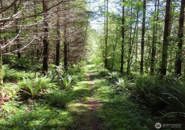 Photo 3 of Land for sale at 0 Xxx Hockett Rd, Onalaska, WA 98570 | MLS# NWM2526362 | Listing updated on 2026-09-21