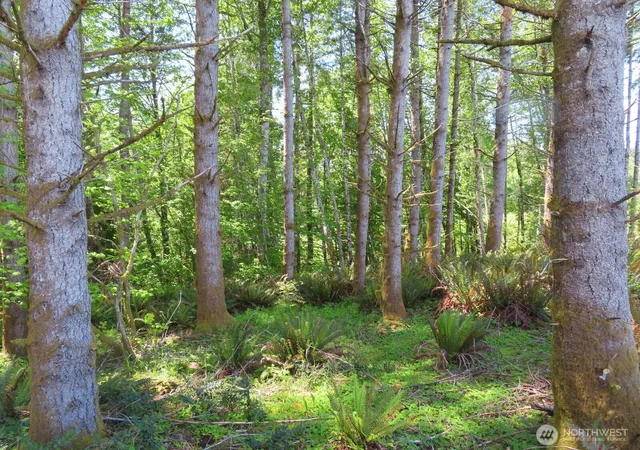 Photo 4 of Land for sale at 0 Xxx Hockett Rd, Onalaska, WA 98570 | MLS# NWM2526362 | Listing updated on 2026-09-21