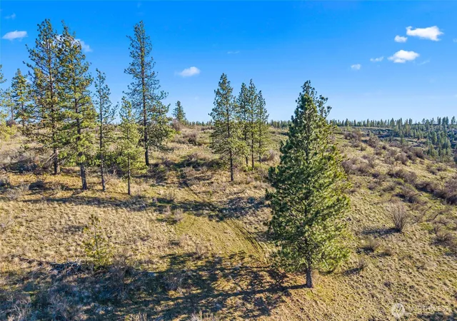 Photo 1 of Land for sale at 27220 Underwood Cyn, Creston, WA 99117 | MLS# NWM2526456 | Listing updated on 2026-09-21