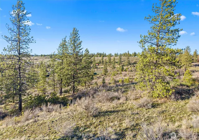 Photo 2 of Land for sale at 27220 Underwood Cyn, Creston, WA 99117 | MLS# NWM2526456 | Listing updated on 2026-09-21