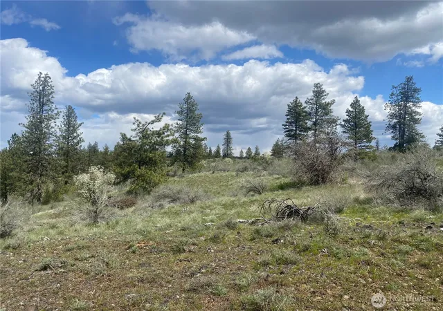 Photo 3 of Land for sale at 27220 Underwood Cyn, Creston, WA 99117 | MLS# NWM2526456 | Listing updated on 2026-09-21