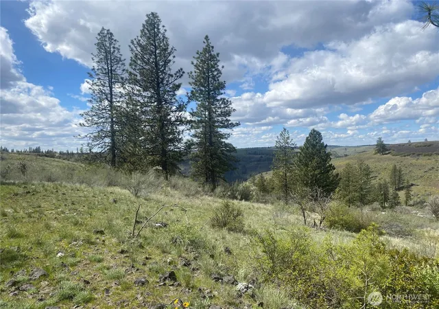 Photo 3 of Land for sale at 27220 Underwood Cyn, Creston, WA 99117 | MLS# NWM2526456 | Listing updated on 2026-09-21