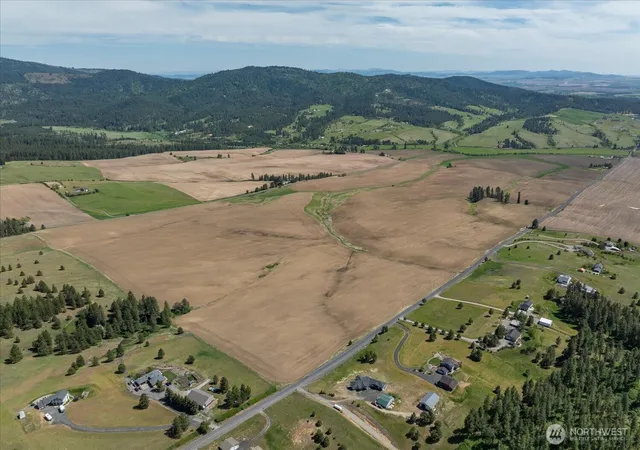 Photo 3 of Land for sale at 0 Xxx Jackson Rd #Lot 17, Mica, WA 99023 | MLS# NWM2526485 | Listing updated on 2026-09-21
