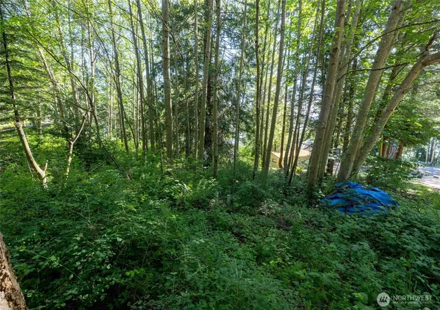 Photo 4 of Land for sale at 2868 Cedar Ave, Lummi Island, WA 98262 | MLS# NWM2526488 | Listing updated on 2026-09-21