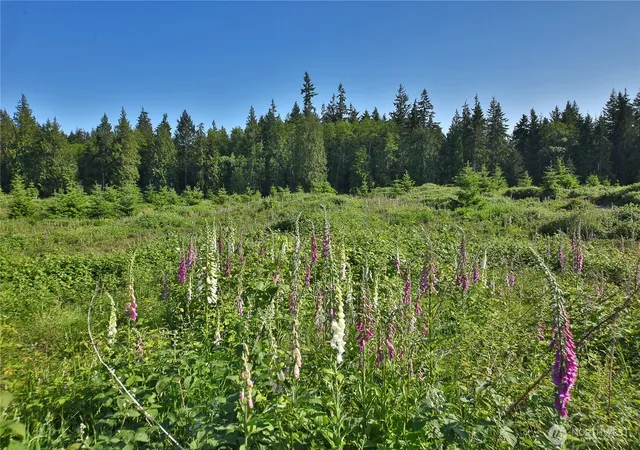 Photo 1 of Land for sale at 2062 Goodell Rd, Freeland, WA 98249 | MLS# NWM2526541 | Listing updated on 2026-09-21