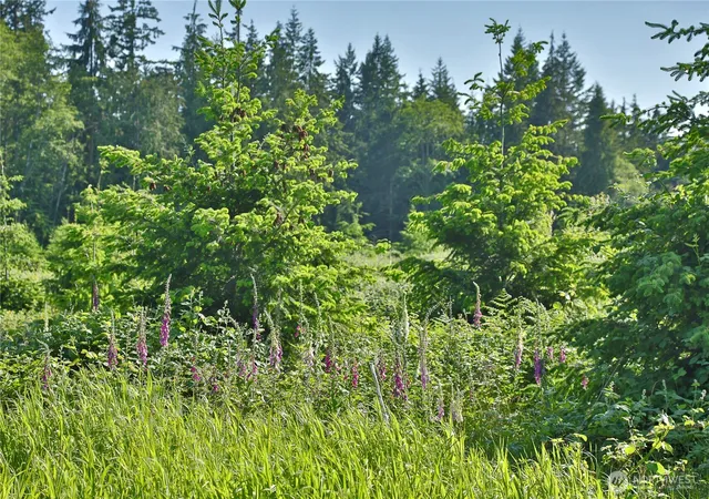 Photo 3 of Land for sale at 2062 Goodell Rd, Freeland, WA 98249 | MLS# NWM2526541 | Listing updated on 2026-09-21