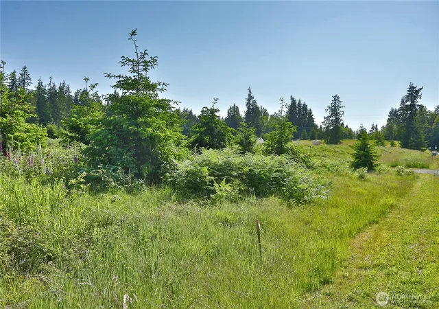 Photo 3 of Land for sale at 2062 Goodell Rd, Freeland, WA 98249 | MLS# NWM2526541 | Listing updated on 2026-09-21
