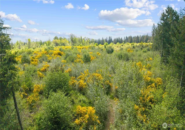 Photo 3 of Land for sale at 0 Charbonneau Ln SE, Yelm, WA 98597 | MLS# NWM2526550 | Listing updated on 2026-09-21