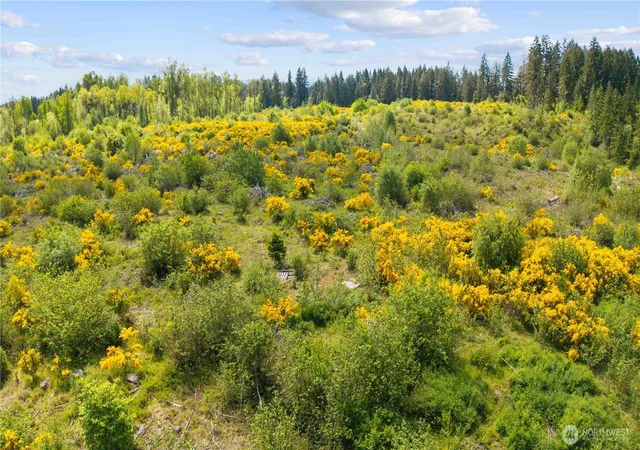 Photo 4 of Land for sale at 0 Charbonneau Ln SE, Yelm, WA 98597 | MLS# NWM2526550 | Listing updated on 2026-09-21