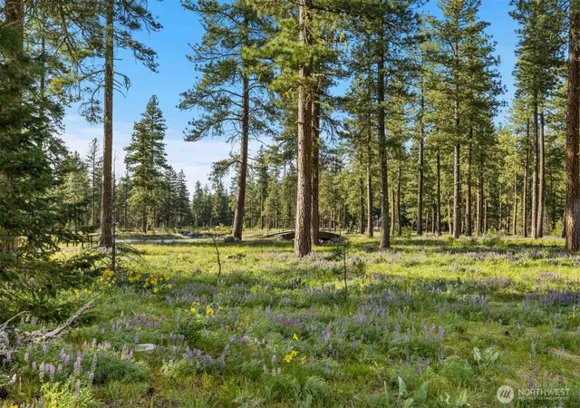 Photo 3 of Land for sale at 53 Wanawish Loop, Cle Elum, WA 98922 | MLS# NWM2526608 | Listing updated on 2026-09-21