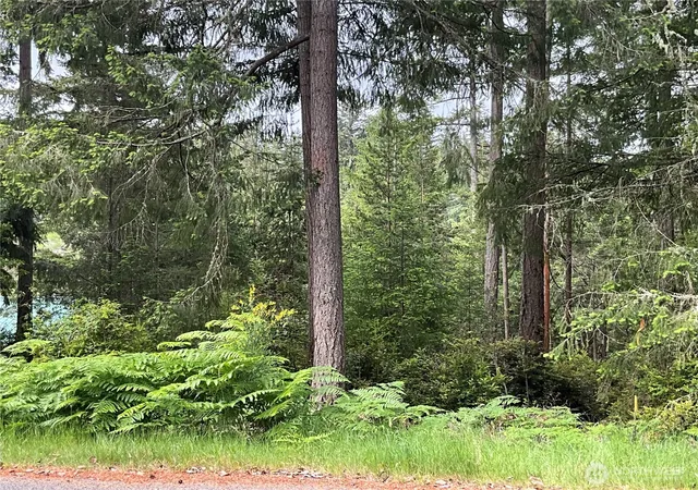 Photo 3 of Land for sale at 11018 Matthews Way, Anderson Island, WA 98303 | MLS# NWM2526789 | Listing updated on 2026-09-21