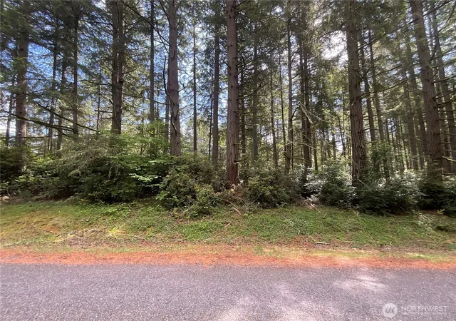 Photo 1 of Land for sale at 11321 Lake Josephine Ave, Anderson Island, WA 98303 | MLS# NWM2526790 | Listing updated on 2026-09-21