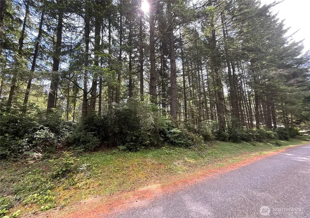 Photo 2 of Land for sale at 11321 Lake Josephine Ave, Anderson Island, WA 98303 | MLS# NWM2526790 | Listing updated on 2026-09-21