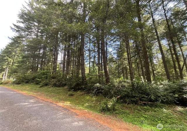 Photo 3 of Land for sale at 11321 Lake Josephine Ave, Anderson Island, WA 98303 | MLS# NWM2526790 | Listing updated on 2026-09-21