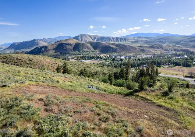 Land for sale at 0 Tbd Alder Rd, Twisp, WA 98856 | MLS# NWM2526816