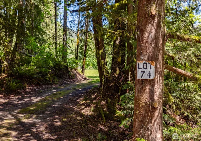Photo 1 of Sale Pending at 0 Lot 74 Skagit View Dr, Concrete, WA 98237 | MLS# NWM2526854 | Listing updated on 2026-09-05