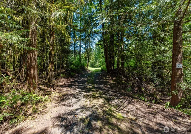 Photo 2 of Sale Pending at 0 Lot 74 Skagit View Dr, Concrete, WA 98237 | MLS# NWM2526854 | Listing updated on 2026-09-05