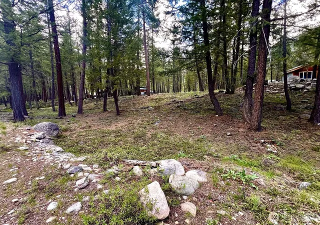 Land for sale at 35 Emerson Rd, Mazama, WA 98833 | MLS# NWM2527039