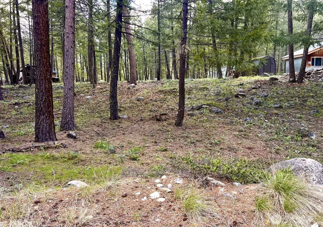 Photo 2 of Land for sale at 35 Emerson Rd, Mazama, WA 98833 | MLS# NWM2527039 | Listing updated on 2026-09-22