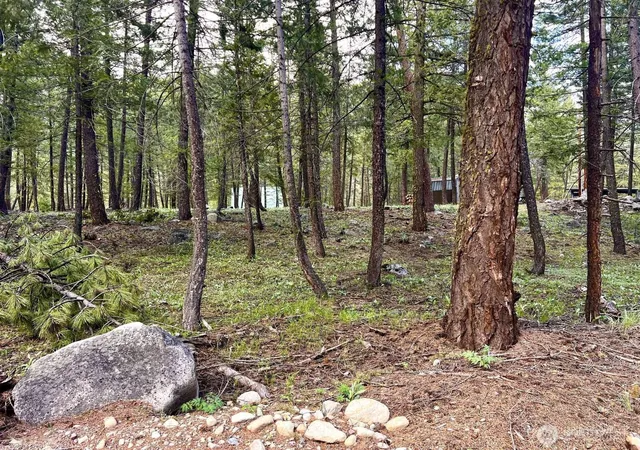 Photo 3 of Land for sale at 35 Emerson Rd, Mazama, WA 98833 | MLS# NWM2527039 | Listing updated on 2026-09-22