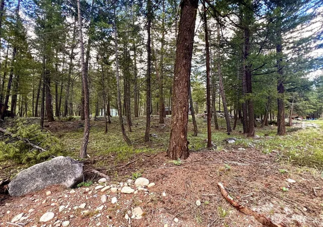 Photo 3 of Land for sale at 35 Emerson Rd, Mazama, WA 98833 | MLS# NWM2527039 | Listing updated on 2026-09-22