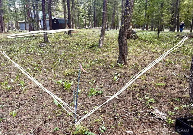 Photo 4 of Land for sale at 35 Emerson Rd, Mazama, WA 98833 | MLS# NWM2527039 | Listing updated on 2026-09-22