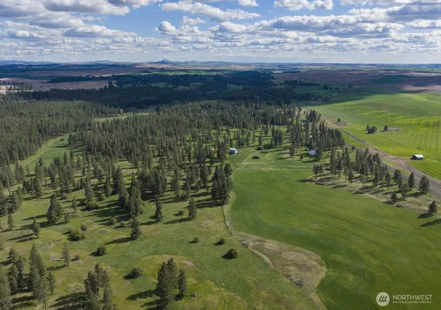 Land for sale at 32312 N Pine Crk Rd S, Spangle, WA 99031 | MLS# NWM2527120
