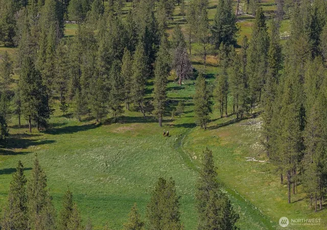 Photo 1 of Land for sale at 32312 N Pine Crk Rd S, Spangle, WA 99031 | MLS# NWM2527120 | Listing updated on 2026-09-21