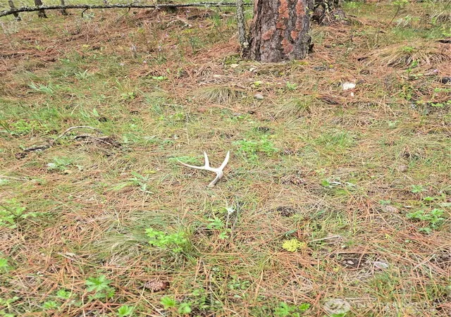 Photo 27 of Land for sale at 32312 N Pine Crk Rd S, Spangle, WA 99031 | MLS# NWM2527120 | Listing updated on 2026-09-21