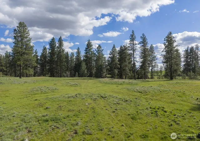 Photo 2 of Land for sale at 32312 N Pine Crk Rd S, Spangle, WA 99031 | MLS# NWM2527120 | Listing updated on 2026-09-21