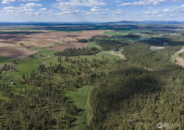 Photo 4 of Land for sale at 32312 N Pine Crk Rd S, Spangle, WA 99031 | MLS# NWM2527120 | Listing updated on 2026-09-21