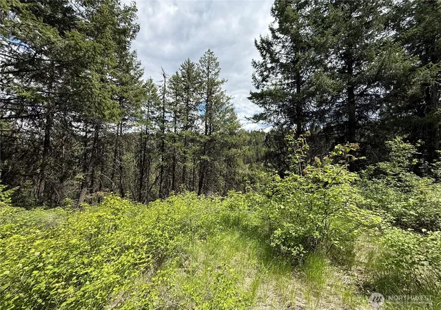 Photo 1 of Land for sale at 0 Lot 131 Slippery Hl Rd, Republic, WA 99166 | MLS# NWM2527186 | Listing updated on 2026-09-21