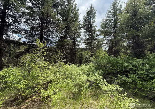 Photo 2 of Land for sale at 0 Lot 131 Slippery Hl Rd, Republic, WA 99166 | MLS# NWM2527186 | Listing updated on 2026-09-21