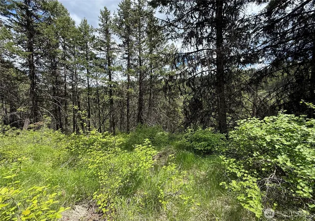 Photo 3 of Land for sale at 0 Lot 131 Slippery Hl Rd, Republic, WA 99166 | MLS# NWM2527186 | Listing updated on 2026-09-21