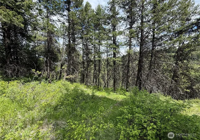 Photo 3 of Land for sale at 0 Lot 131 Slippery Hl Rd, Republic, WA 99166 | MLS# NWM2527186 | Listing updated on 2026-09-21