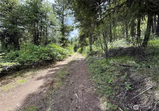 Photo 4 of Land for sale at 0 Lot 131 Slippery Hl Rd, Republic, WA 99166 | MLS# NWM2527186 | Listing updated on 2026-09-21