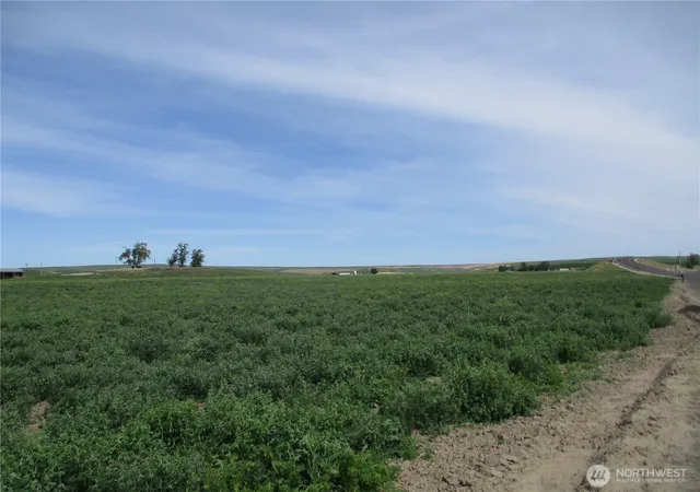 Photo 2 of Single family home for sale at 669 Cummins Rd, Touchet, WA 99360 | MLS# NWM2527270 | Listing updated on 2026-09-21