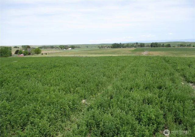 Photo 1 of Land for sale at 0 Nka Ash Holw Rd, Touchet, WA 99360 | MLS# NWM2527319 | Listing updated on 2026-09-24