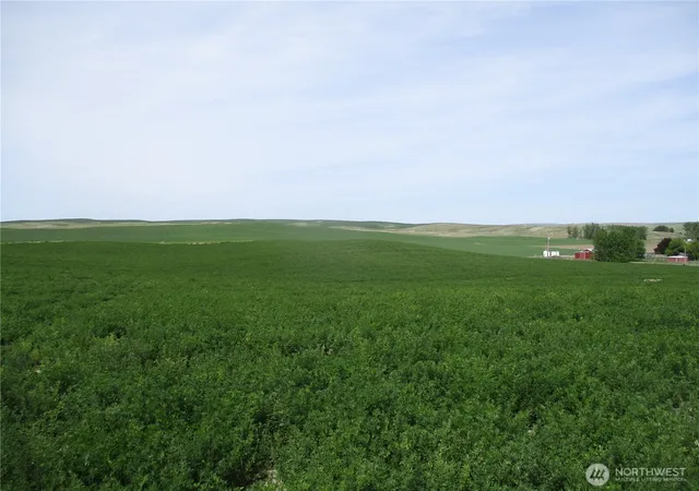 Photo 2 of Land for sale at 0 Nka Ash Holw Rd, Touchet, WA 99360 | MLS# NWM2527319 | Listing updated on 2026-09-24