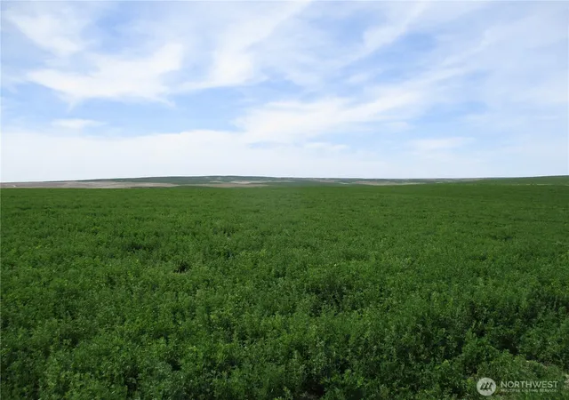 Photo 3 of Land for sale at 0 Nka Ash Holw Rd, Touchet, WA 99360 | MLS# NWM2527319 | Listing updated on 2026-09-24