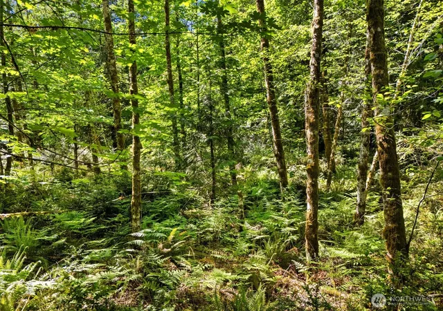 Photo 2 of Land for sale at 0 E Tr 15 Jared Rd, Shelton, WA 98584 | MLS# NWM2527343 | Listing updated on 2026-09-21
