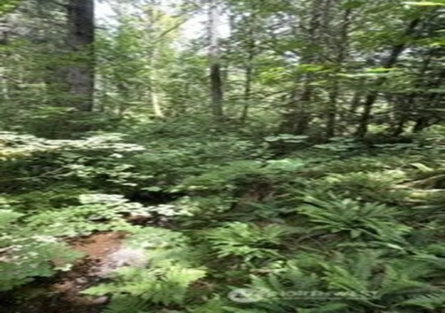 Photo 2 of Land for sale at 7316 238th Avenue Ne, Redmond, WA 98053 | MLS# NWM2527458 | Listing updated on 2026-09-21