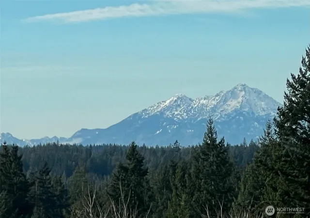 Photo 3 of Single family home for sale at 4201 Nettle Dr Se, Port Orchard, WA 98366 | MLS# NWM2527545 | Listing updated on 2026-09-28