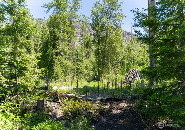 Photo 4 of Land for sale at 97 Tbd Cedarosa Way, Mazama, WA 98833 | MLS# NWM2527648 | Listing updated on 2026-09-21
